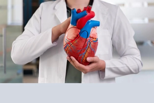 CARDIOVASCULAR SYSTEM