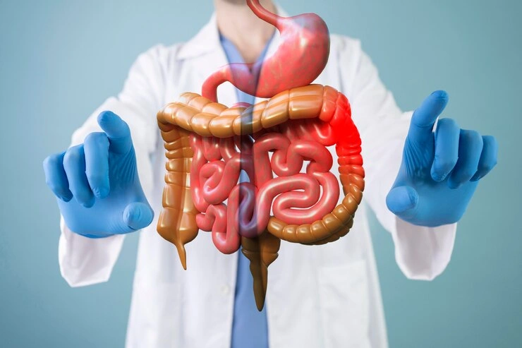 GASTROENTEROLOGY